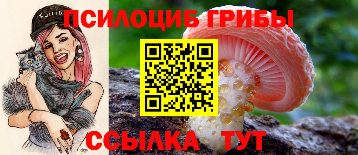 Галлюциногенные грибы Magic Shrooms  Вход с VPN  Дубна 