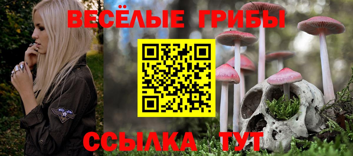 Галлюциногенные грибы ЛСД Дубна